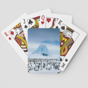 Jeu De Cartes Colonie de pingouin d'empereur