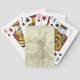 Jeu De Cartes Colonne de colonne vertébrale de l'anatomie humain