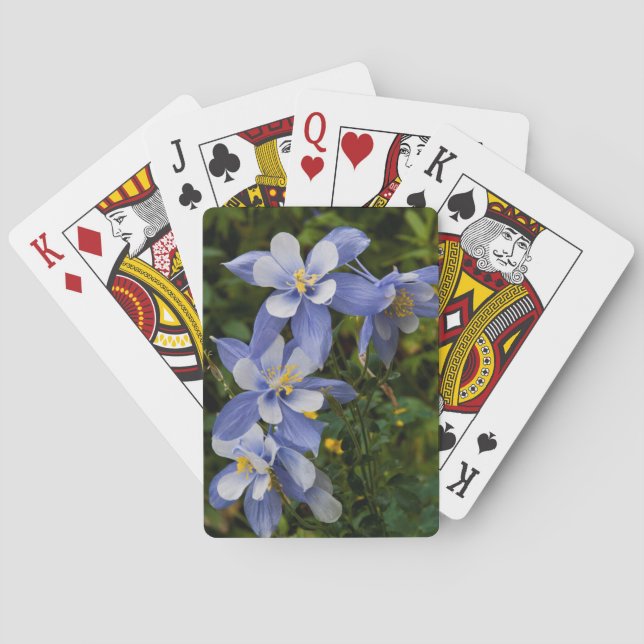 Jeu De Cartes Colorado (dos)