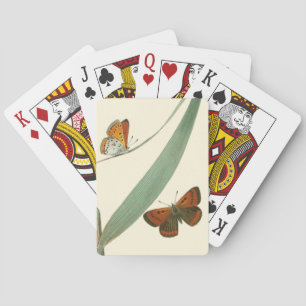 Jeu De Cartes Colorful Butterflies Fluttering Around a Leaf