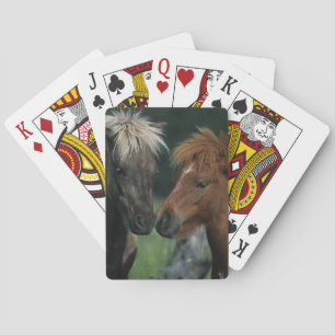 Jeu De Cartes Contact miniature de chevaux