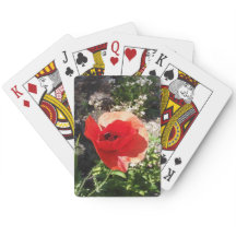 Coquelicot rouge