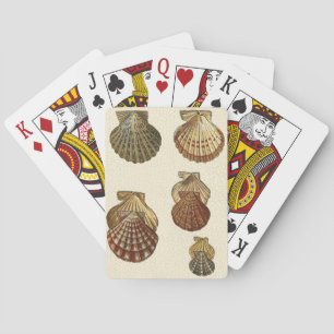 Jeu De Cartes Coquilles antiques crépitées