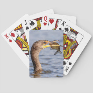 Jeu De Cartes Cormoran avec un poisson