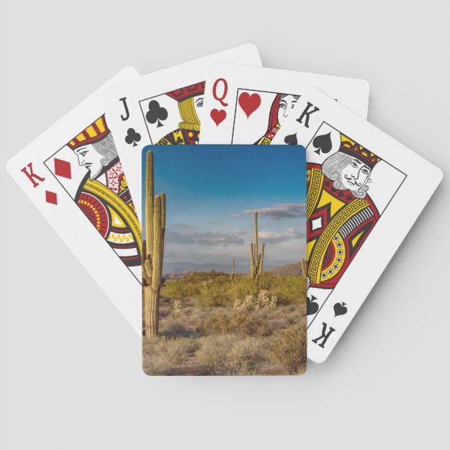 Jeu De Cartes Coucher du soleil de cactus en Arizona (dos)