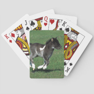 Jeu De Cartes Courant de poulain miniature