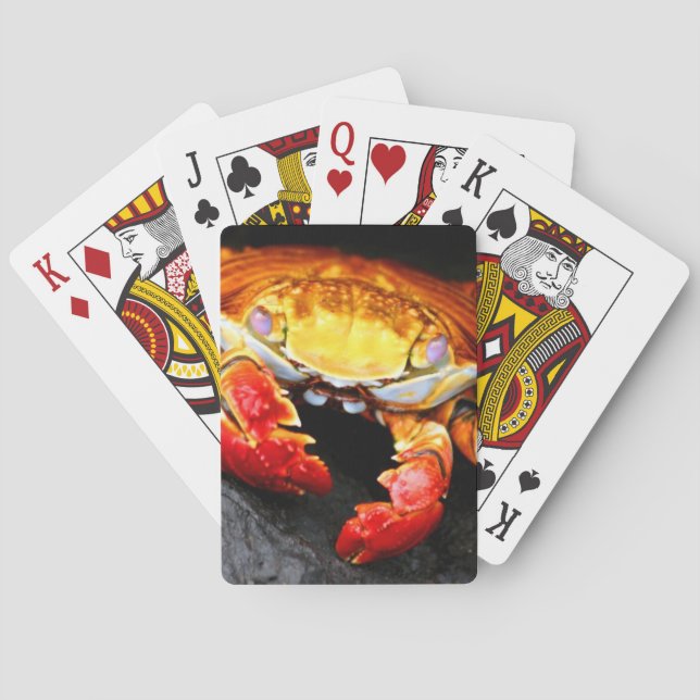 Jeu De Cartes Crabe des Galapagos (dos)