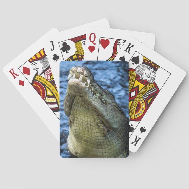Jeu De Cartes Crocodile Dents Eau (dos)