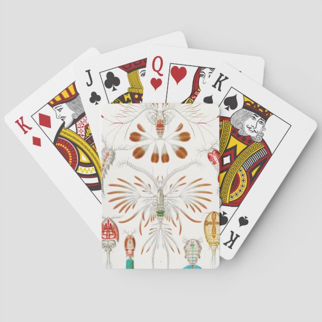 Jeu De Cartes Crustacés de la vie marine, Copepoda par Ernst Hae (dos)