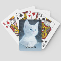 Cuite chaton blanc avec Joli yeux bleu sur