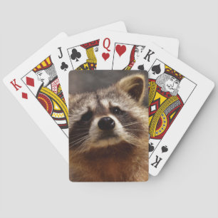 Jeu De Cartes Curieux Raccoon