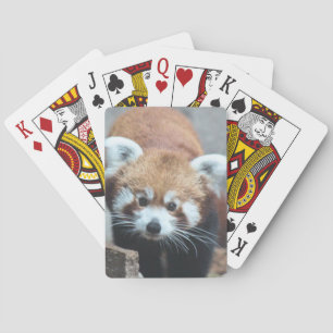 Jeu De Cartes Cute