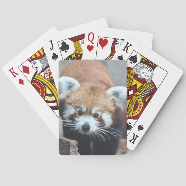 Jeu De Cartes Cute (dos)