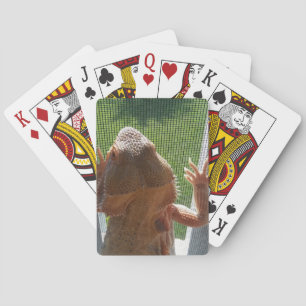 Jeu De Cartes Cute Bearded Dragon Photo Print