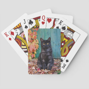 Jeu De Cartes Cute chaton noir avec porte bleue Feuille rouge —