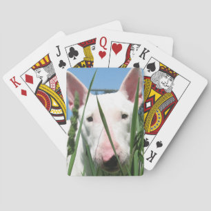 Jeu De Cartes Cute English Bull Terrier