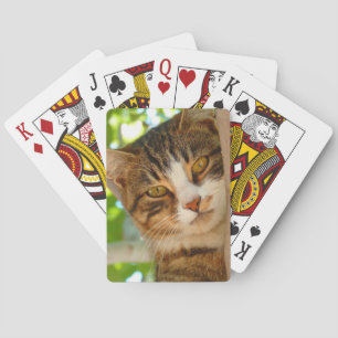Jeu De Cartes Cute Escalade de chat un arbre