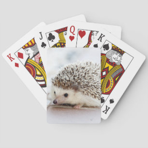 Jeu De Cartes Cute Hedgehog