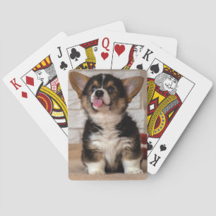 Jeu De Cartes Cute Pembroke Welsh Corgi Chien chiot