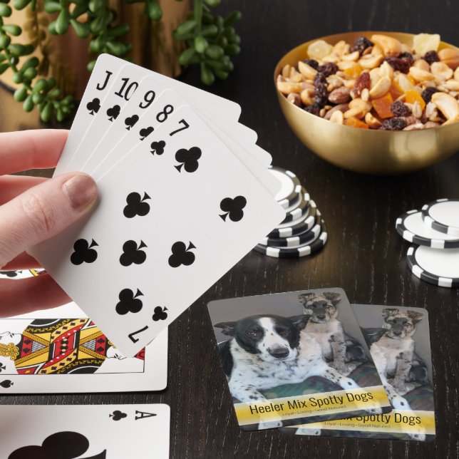 Jeu De Cartes Cute Spotty Heeler Mix Chiens Modèle Photo (In Situ)