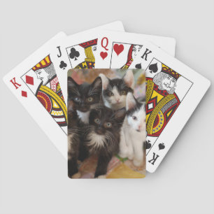 Jeu De Cartes Cutest Baby Animals Black & White Kittens