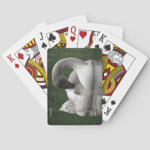 Jeu De Cartes Cygne endormi Jouer aux cartes