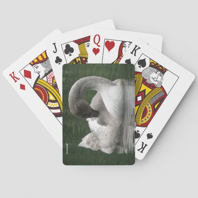 Jeu De Cartes Cygne endormi Jouer aux cartes (dos)