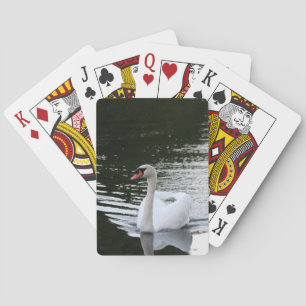 Jeu De Cartes Cygne tuberculé