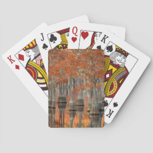 Jeu De Cartes Cyprès Parc d'État George Smith, Géorgie