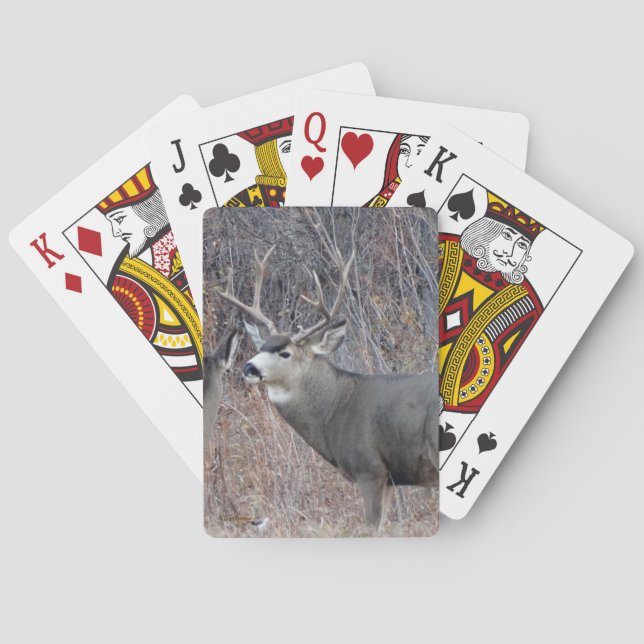 Jeu De Cartes D29 Mule Deer Buck (dos)
