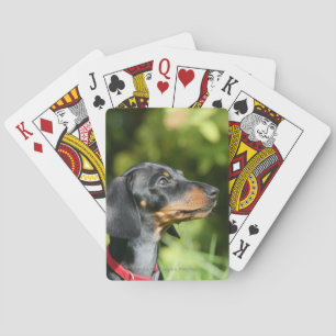 Jeu De Cartes Dachshund noir et tan Miniture 3
