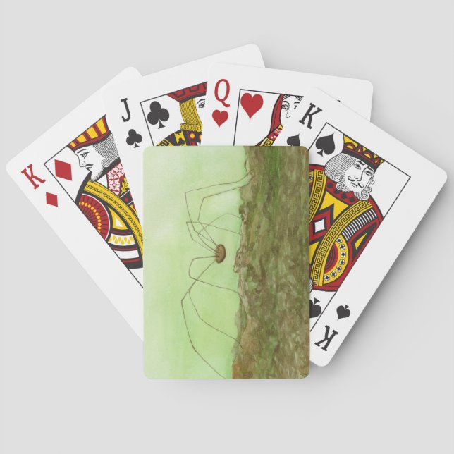 Jeu De Cartes Daddy Long Jambes (dos)