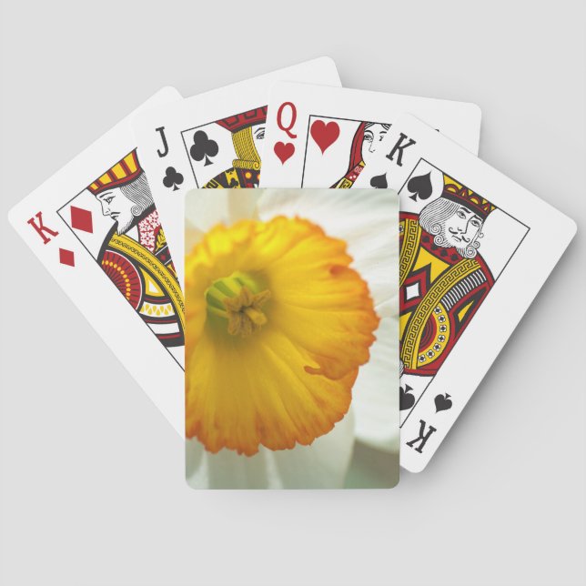 Jeu De Cartes Daffodile (dos)