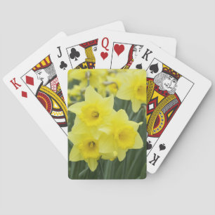 Jeu De Cartes Daffodils RF)