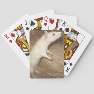 JEU DE CARTES DANSER DES CARTES DE JEU RAT