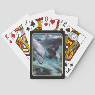 Jeu De Cartes Dauphins Photo Art Jouer Cartes