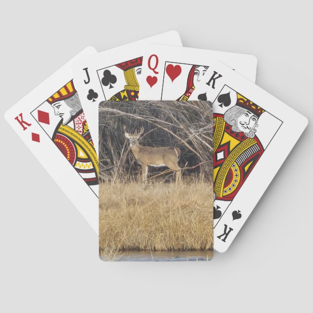 Jeu De Cartes Deer in the Thicket Playing Cards (dos)