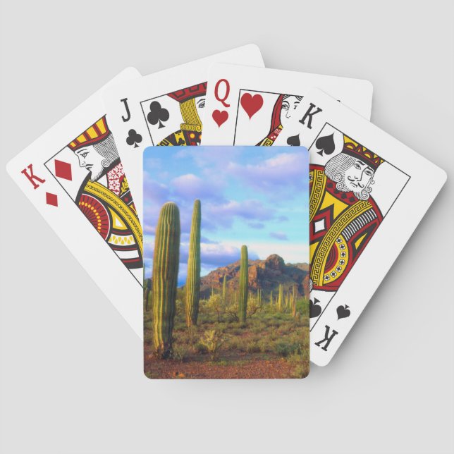 Jeu De Cartes Désert au printemps (dos)