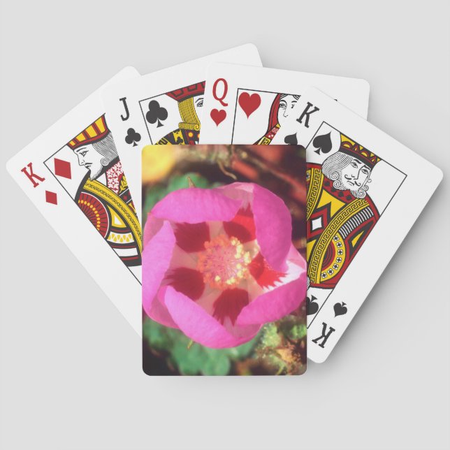 Jeu De Cartes Desert Five Spot Wildflower (dos)