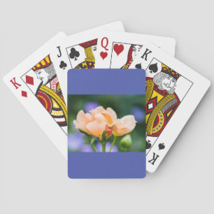 Jeu De Cartes désir