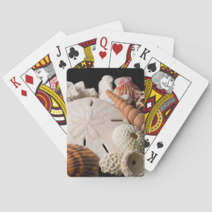 Jeu De Cartes Détail de coquillages du monde entier