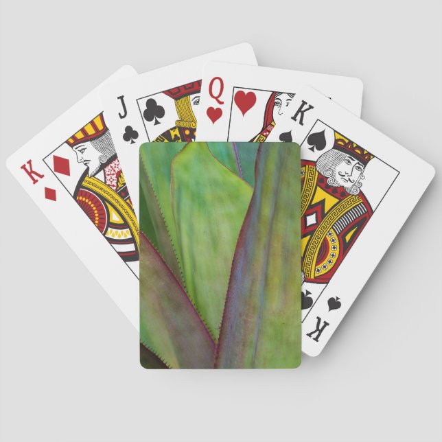 Jeu De Cartes Détail de la plante d'agave (dos)