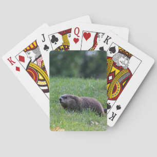 Jeu De Cartes Digger de trou du diable