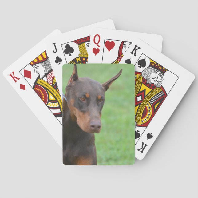 Jeu De Cartes Dobermann (dos)