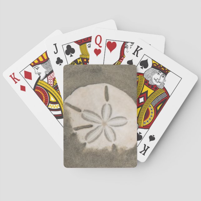 Jeu De Cartes Dollar de sable (Echinarachnius parma) (dos)