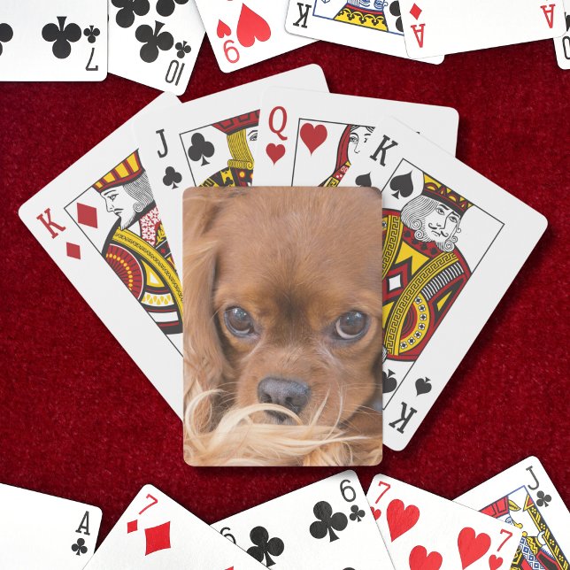Jeu De Cartes Douce Ruby Cavalier King Charles Spaniel (Créateur téléchargé)