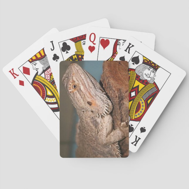 Jeu De Cartes Dragon barbu (dos)