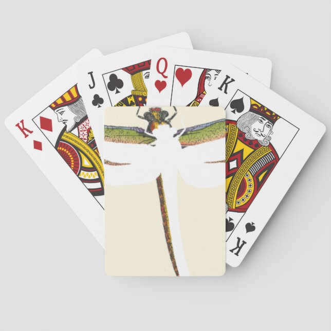 Jeu De Cartes Dragonfly miniature sur Arrière - plan blanc (dos)