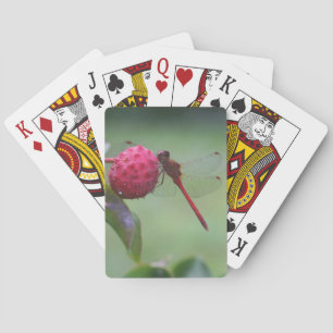 Jeu De Cartes Dragonfly rouge sur l'insecte des fruits du bois d