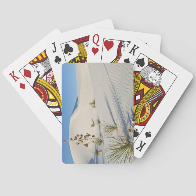 Jeu De Cartes Dunes transversales, Yucca, ombres (dos)